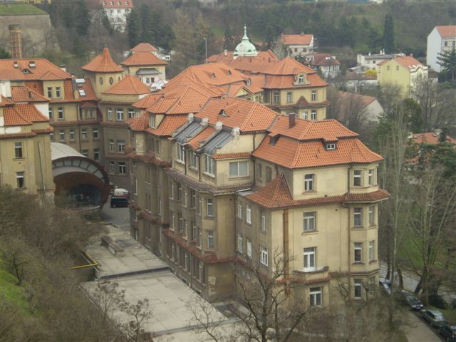 P4020052 (2).JPG
