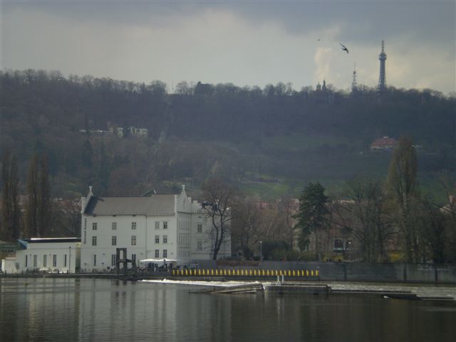 P4020073.JPG