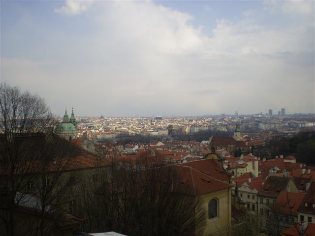 P4020123.JPG