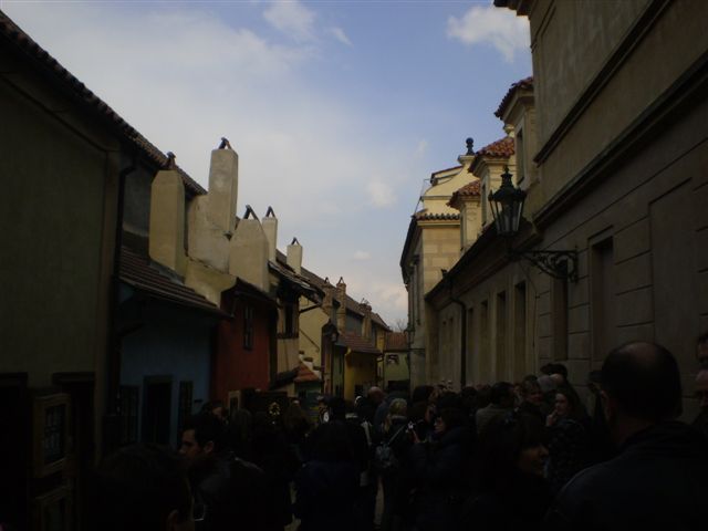 P4020141.JPG