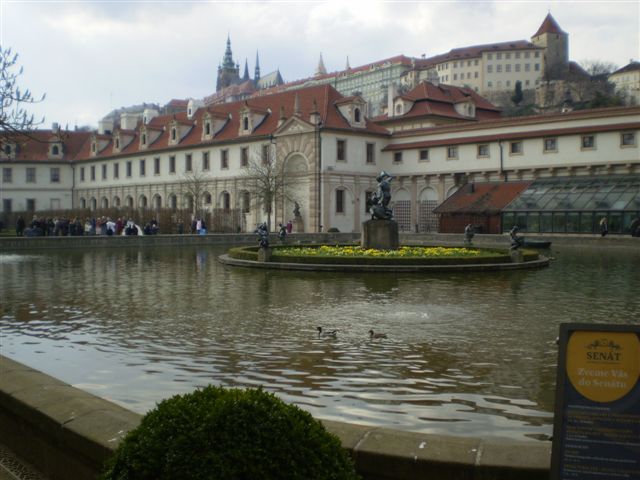 P4020146.JPG