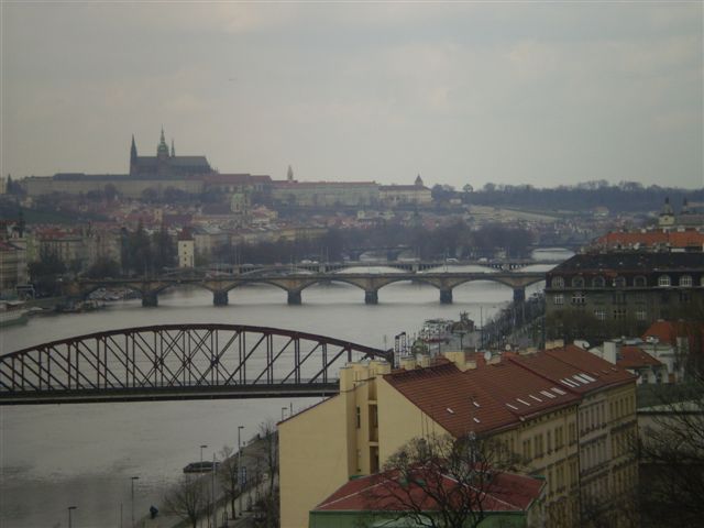 P4020059 (2).JPG