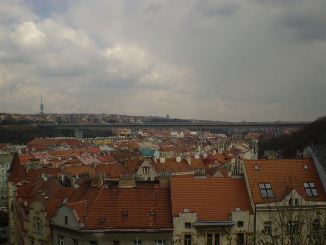 P4020041 (2).JPG