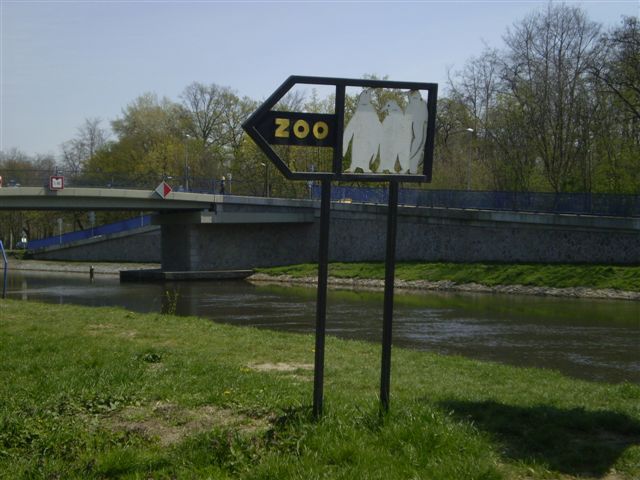 P4230006.JPG