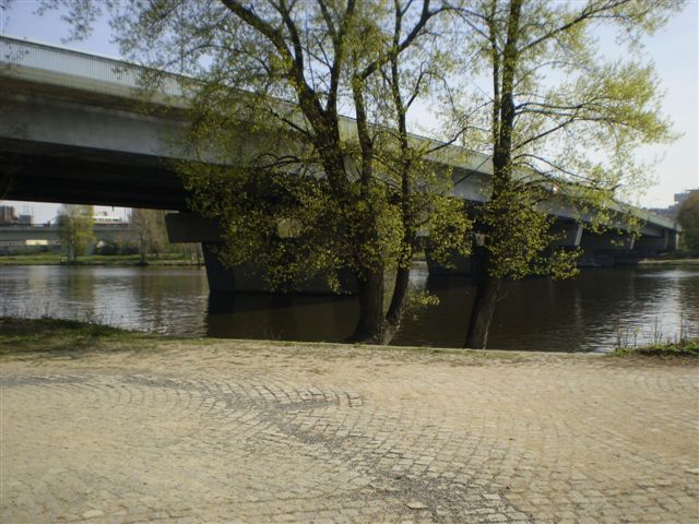 P4230022.JPG