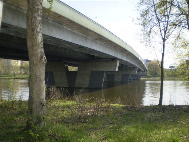 P4230023.JPG