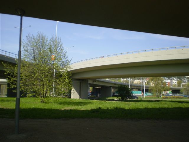 P4230026.JPG