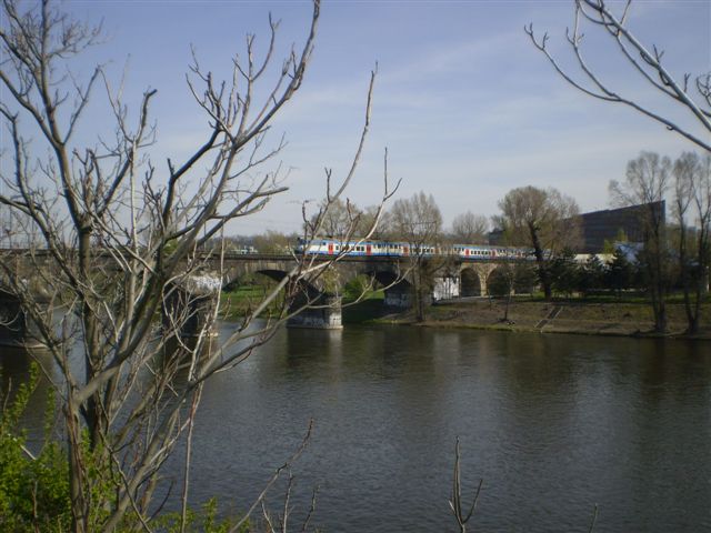 P4230044.JPG