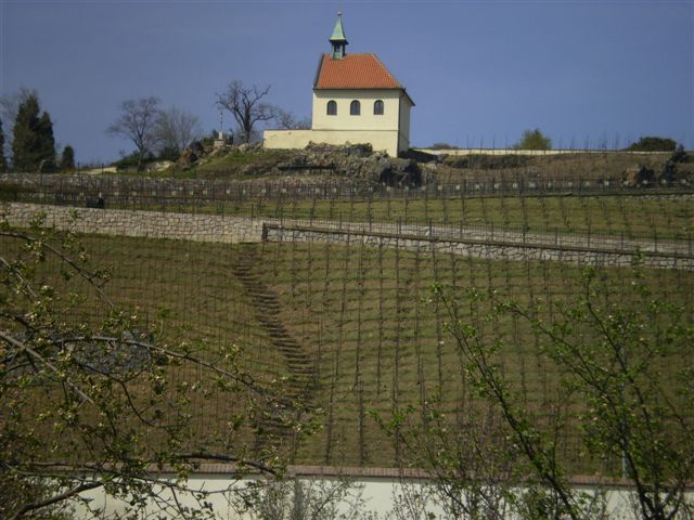 P4230013.JPG