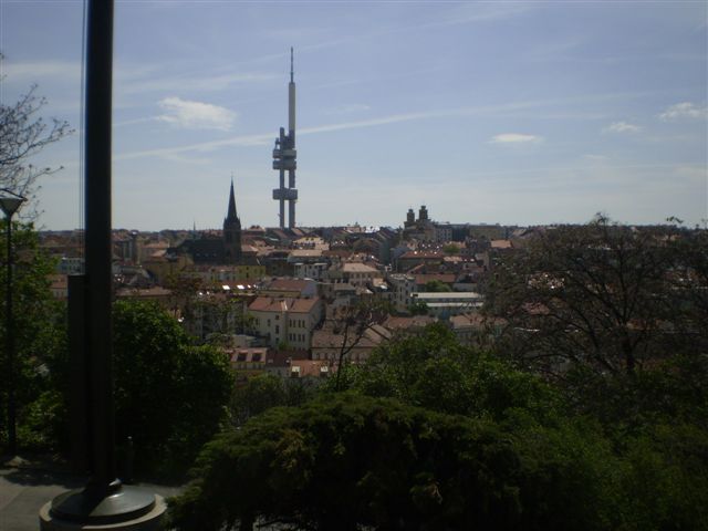 P4290044.JPG