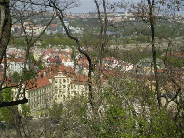 P4290051.JPG