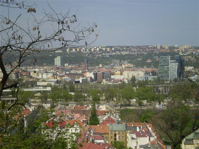 P4290052.JPG