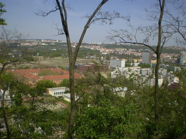 P4290053.JPG