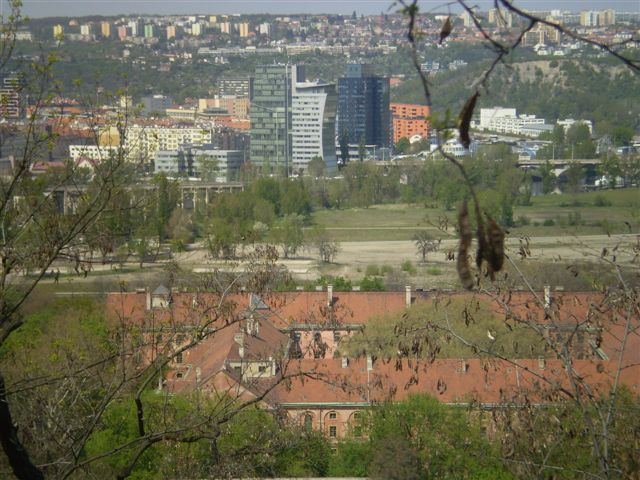 P4290057.JPG