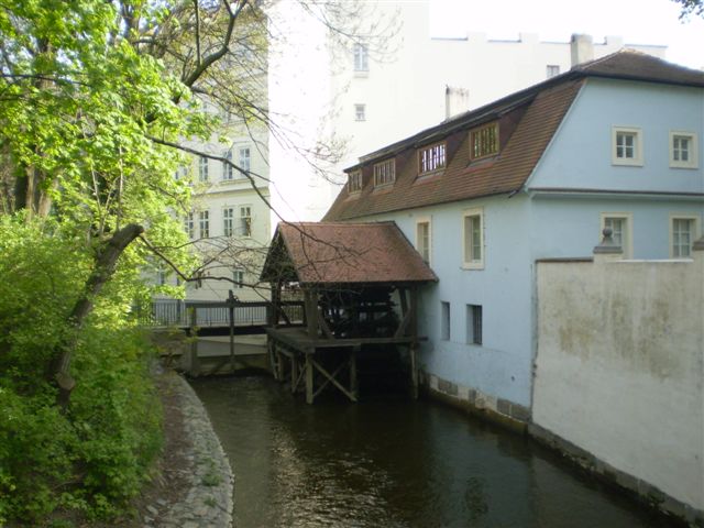 P4290082.JPG