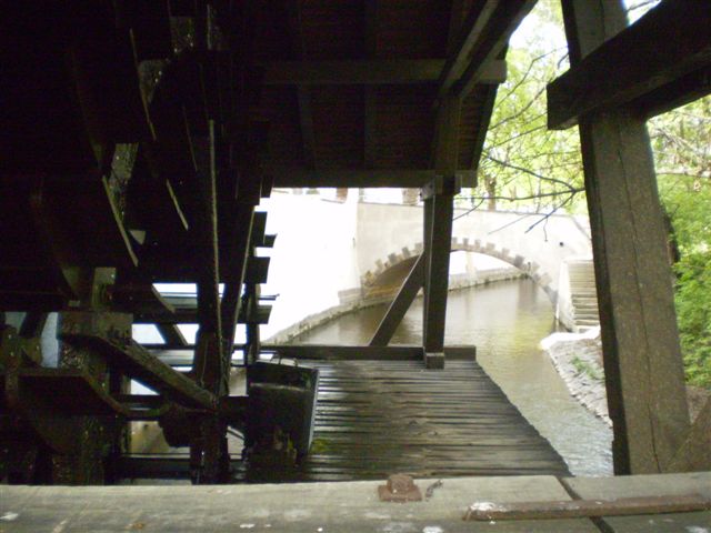 P4290085.JPG