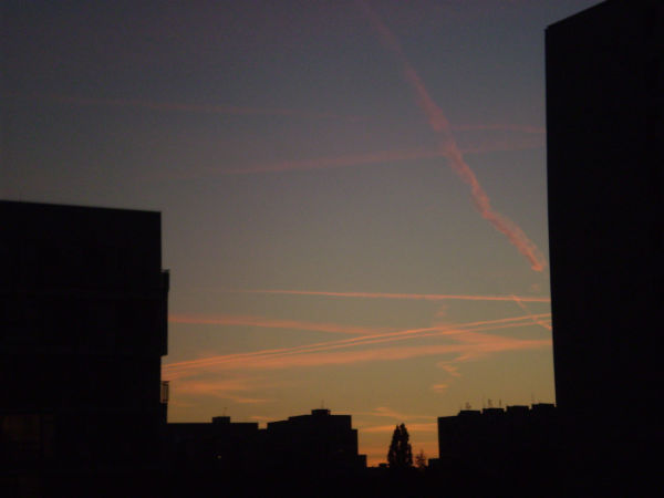 P7230003